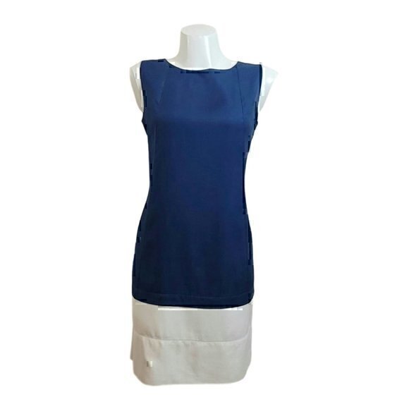 Balenciaga Silk Shift Dress 40 Color Block Blue White - Picture 7 of 12